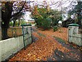 Fallen leaves, Hospital Road, Omagh