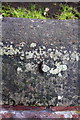 Remains of benchmark on cemetery wall