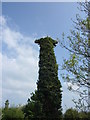 SS9779 : Ivy Covered Conveyor Column at Ruthin by John Finch