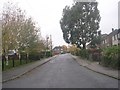 Trenholme Avenue - looking towards Fenwick Drive