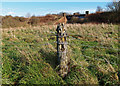 Fence Post, Kilmarnock