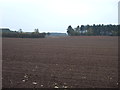 Farmland off Old London Road