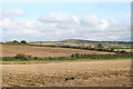 Fields at Middle Colenso