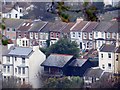 Houses on Harold Road