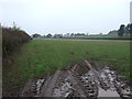 Farmland near Barnby Moor