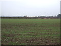 Farmland near Torworth