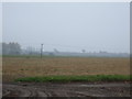 SK6888 : Farmland near Mattersey Hill by JThomas
