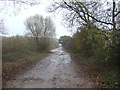 Track running north off Chain Bridge Lane