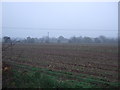 Farmland off Tiln Lane