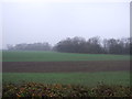 Farmland off Hazelwood Lane