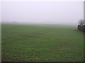 Farmland near Grove