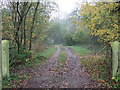 Track into Treswell Wood