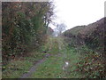 Farm track (footpath) off Leverton Road