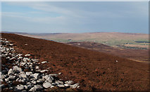 NY8524 : Heather moor with boulders to east of Long Crag by Trevor Littlewood
