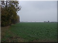 Farmland, North Wheatley