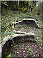 NZ1565 : Remains of Throckley Isabella Colliery Coke Ovens by Andrew Curtis