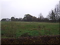 Farmland near South Leverton