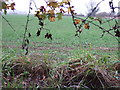 Farmland near East Drayton