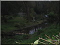 The Petty Pool Brook flows through the grounds of Bradford Mill