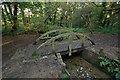 Footbridge, Godolphin Woods