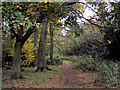 Track  towards the Penn Road, Wolverhampton