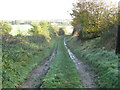 Farm track heading down from the Leftwich estate onto the flood plain of the River  Dane