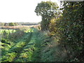 Farm track below the Leftwich estate