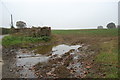 Muddy entrance to Crop field