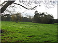 Grazing pasture adjacent to Bostock Hall