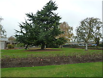 SU6006 : Blowing the leaves around at Portchester Crematorium by Basher Eyre