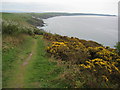 SX3353 : View east from above Cargloth Cliff by Philip Halling