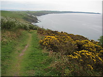SX3353 : View east from above Cargloth Cliff by Philip Halling