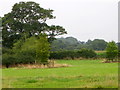 ST7412 : Grass field near Lydlinch by Maigheach-gheal