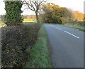 SP6497 : Newton Lane heading towards Great Glen by Mat Fascione