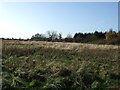 Farmland off the B1292