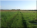 Farm track off Stainton Way