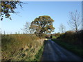 Muff Lane towards Newby