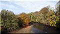 NY9923 : River Tees north from Eggleston Bridge by Trevor Littlewood