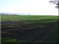 Farmland near Newby Grange