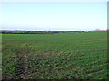 Farmland south of Newby