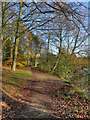 Path By Poynton Lake