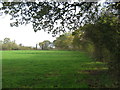 Field edge boundary at Brook Farm