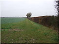 Bridleway running north from Green Lane