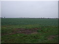 Farmland off Green Lane