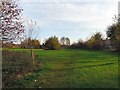 Footpath to Elm Street