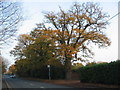 Oaks, Westwood Heath Road