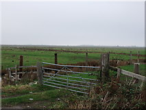 TQ9069 : Gate between Old Ferry Road and Ferry Marshes by PAUL FARMER