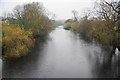 The River Ure at  Ripon