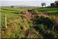 Ditch near Fishpool Farm