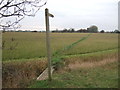 SK7762 : Footpath over fields to Norwell by JThomas